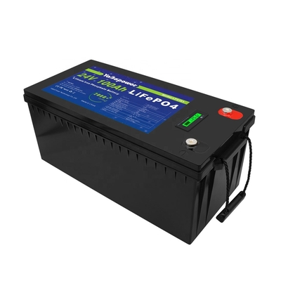 100Ah 150Ah 200Ah 300Ah 24v Lifepo4 배터리(Bms 포함)