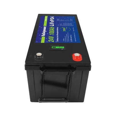 100Ah 150Ah 200Ah 300Ah 24v Lifepo4 배터리(Bms 포함)