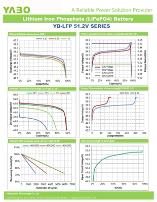 48v 300ah Lifepo4 배터리 셀 리튬 이온 딥 사이클 51.2v 50Ah 250Ah